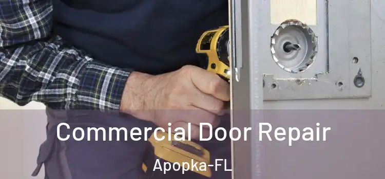 Commercial Door Repair Apopka-FL