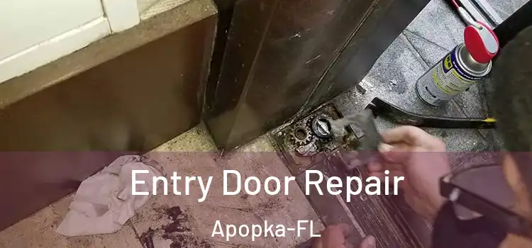 Entry Door Repair Apopka-FL