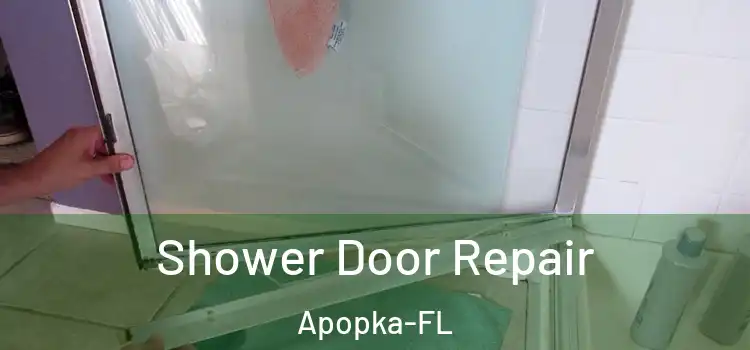 Shower Door Repair Apopka-FL